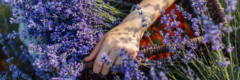 natuva skincare
